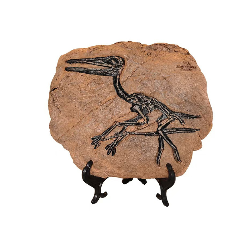 Pterosaurier-Fossil Replik: Meisterhafte Paläontologische Kunst für Ihr Interieur